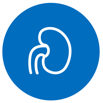 About Kidney Cancer